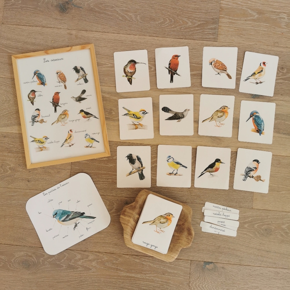 Mon coffret d'observation des oiseaux : 1 guide sur l'observation des  oiseaux + des jumelles + 1 affiche géante à colorier + 15 cartes